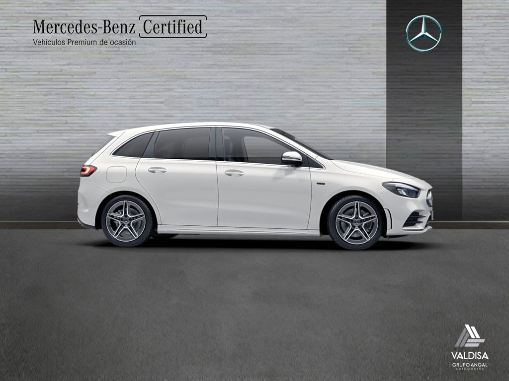 B 250 e